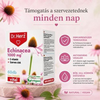 Dr.herz echinacea 500 mg+c-vitamin+szerves cink kapszula 60db