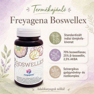 Freyagena Forte boswellex kapszula 60db