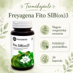 Freyagena sib(ox)3 kapszula 30db Freyagena sib(ox)3 kapszula 30db