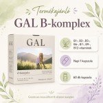 Gal B-komplex 60db