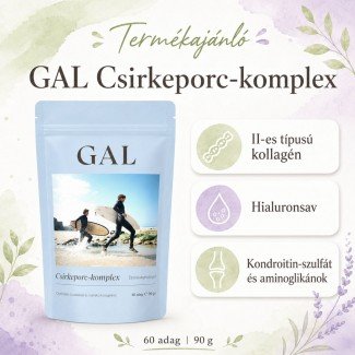Gal csirkeporc-komplex 90g
