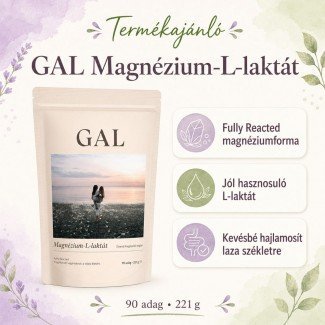 GAL Magnézium L-laktát 221g
