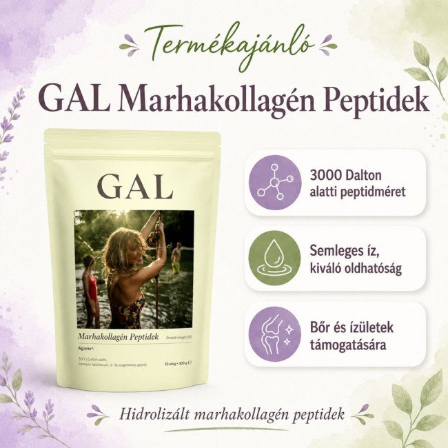 Gal marhakollagén peptidek ARGENTIN 300g Gal marhakollagén peptidek ARGENTIN 300g