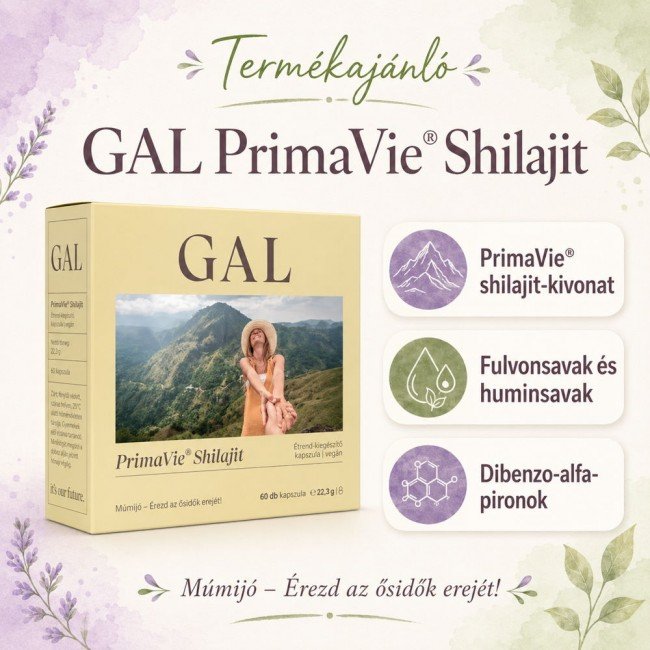 GAL PrimaVie Shilajit - Múmijó kapszula 60db GAL PrimaVie Shilajit - Múmijó kapszula 60db