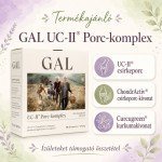 GAL UC-II Porc-komplex 60db