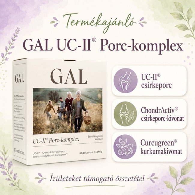 GAL UC-II Porc-komplex 60db