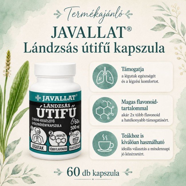 Javallat lándzsás útifű kapszula 60db Javallat lándzsás útifű kapszula 60db