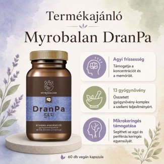 Myrobalan dranpa agyserkentő és memóriajavító gyógynövény-komplex vegán kapszula 60db