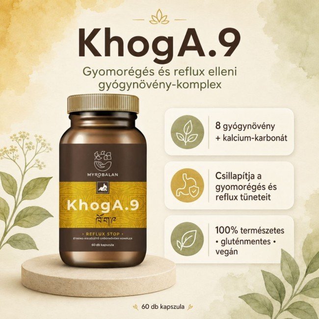 Myrobalan khoga.9gyomorégés, reflux elleni gyógynövény-komplex vegán kapszula 60db Myrobalan khoga.9gyomorégés, reflux elleni gyógynövény-komplex vegán kapszula 60db