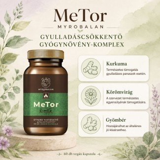 Myrobalan metor gyulladáscsökkentő gyógynövény-komplex vegán kapszula 60db