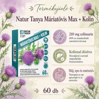 Natur Tanya Máriatövis MAX kolinnal 60db