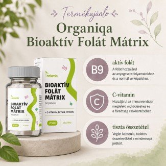 Netamin bioaktív folát mátrix kapszula 30db