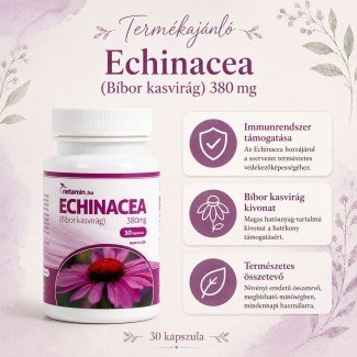 Netamin echinacea kapszula 30db Netamin echinacea kapszula 30db