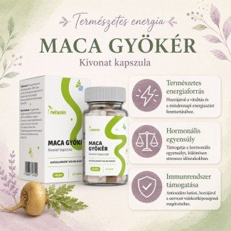 Netamin maca gyökér kivonat kapszula 60db