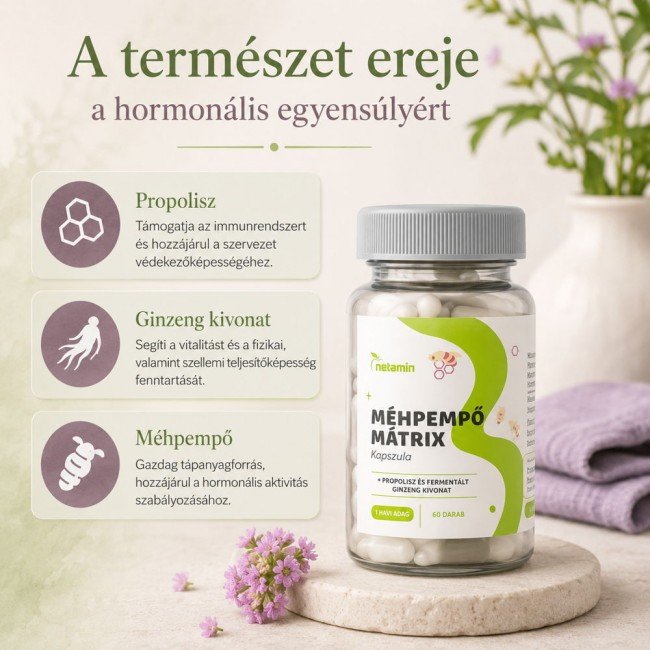 Netamin méhpempő mátrix kapszula+propolisz és fermentált ginzeng kapszula 60db Netamin méhpempő mátrix kapszula+propolisz és fermentált ginzeng kapszula 60db