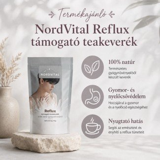 Nordvital Reflux teakeverék 40 g