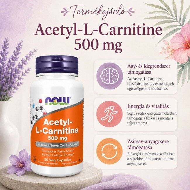 Now Acetyl L- Carnitine 500 mg 50 db Now Acetyl L- Carnitine 500 mg 50 db