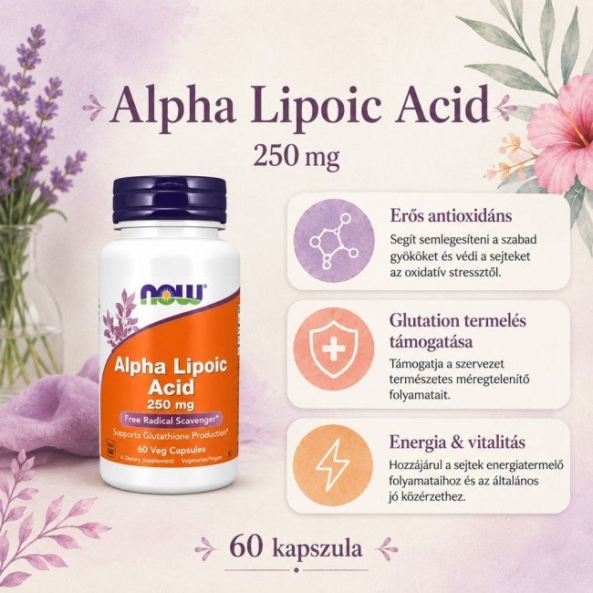 Now Alpha Lipoic Acid kapszula 250mg 60db