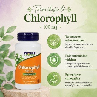 Now chlorophyll kapszula 90db Now chlorophyll kapszula 90db