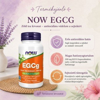 Now egcg zöldtea-Extra kapszula 90db