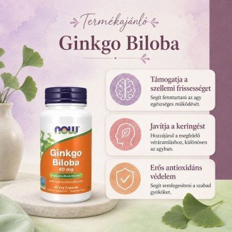 Now ginkgo biloba 60 mg kapszula 60db Now ginkgo biloba 60 mg kapszula 60db