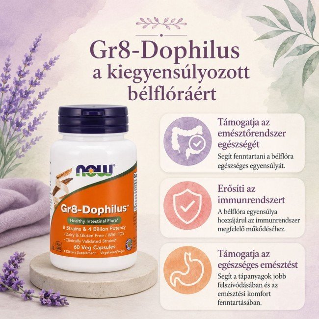 Now gr8-dophilus probiotikum kapszula 60db Now gr8-dophilus probiotikum kapszula 60db
