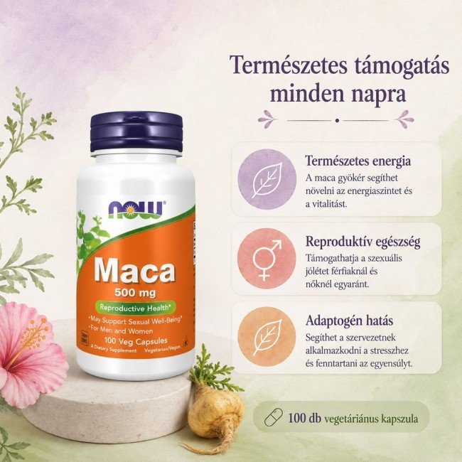 Now maca 500 mg kapszula 100db Now maca 500 mg kapszula 100db