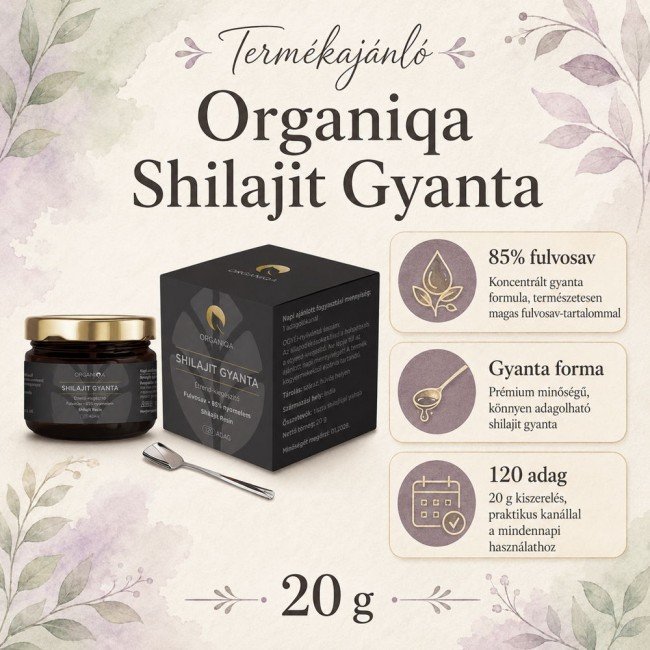 Organiqa shilajit gyanta 50g