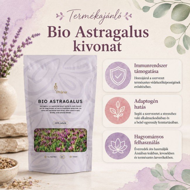 Prana bio astragalus gyökér por 100g Prana bio astragalus gyökér por 100g