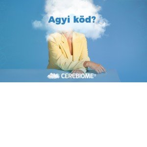 Nem buta vagy - csak túlterhelt