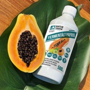 Amla és fermentált papaya – természetes támogatás az emésztéshez Amla és fermentált papaya – természetes támogatás az emésztéshez