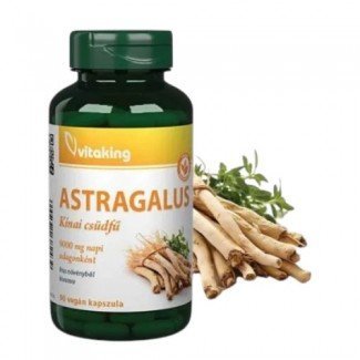 Vitaking astragalus kivonat 100mg 90db