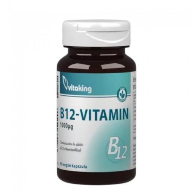 Vitaking b-12 vitamin 1000mcg 90db