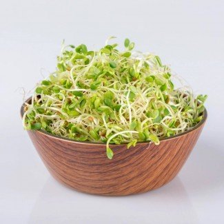 Legeldle Bíborhere Csíra csíráztatásra 100g