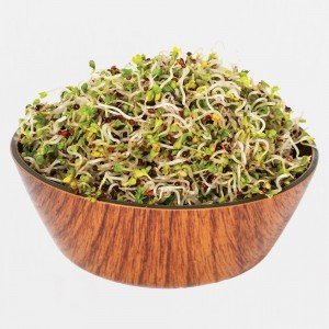 Legeldle Brokkoli Csíra csíráztatásra 100g Legeldle Brokkoli Csíra csíráztatásra 100g