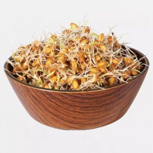 Legeldle Búza Csíra csíráztatásra 150g