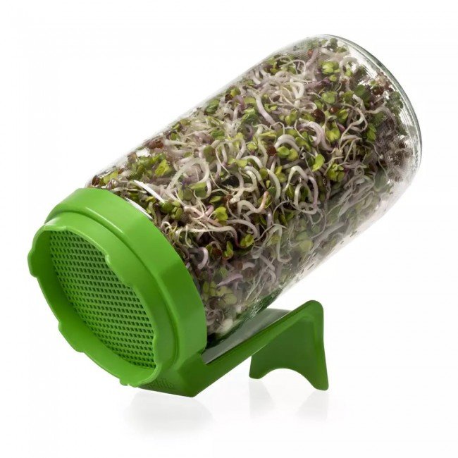 Legeldle Csíráztató Üvegedény, Zöld Legeldle Csíráztató Üvegedény, Zöld