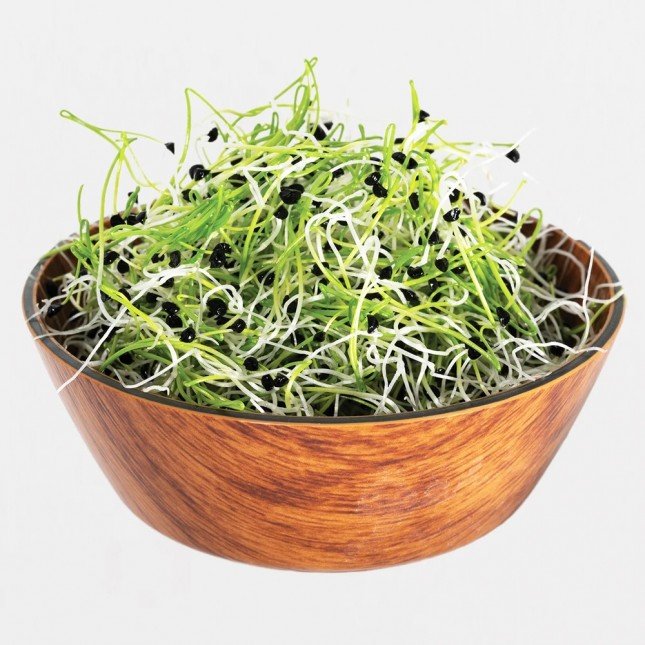 Legeldle Hagyma Csíra csíráztatásra 100g