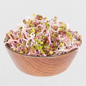 Legeldle Retek China Rose Csíra csíráztatásra 150g Legeldle Retek China Rose Csíra csíráztatásra 150g