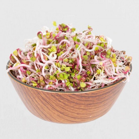 Legeldle Retek China Rose Csíra csíráztatásra 150g