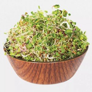 Legeldle Roppanós szendvics mix Csíra csíráztatásra 150g Legeldle Roppanós szendvics mix Csíra csíráztatásra 150g