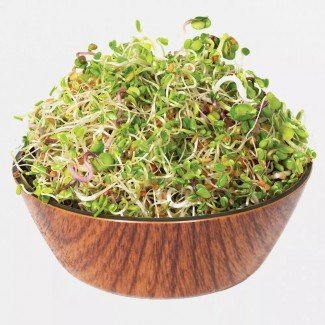 Legeldle Roppanós szendvics mix Csíra csíráztatásra 150g Legeldle Roppanós szendvics mix Csíra csíráztatásra 150g