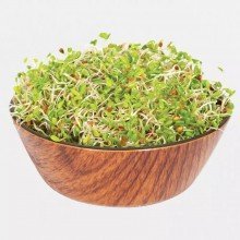 Legeldle Vöröshere Csíra csíráztatásra 100g