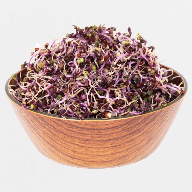 Legeldle Vöröskáposzta Csíra csíráztatásra 100g