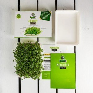 Legeldle Zöldkert készlet Mikrozöld csíráztatáshoz Legeldle Zöldkert készlet Mikrozöld csíráztatáshoz