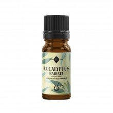 Ellemental Eukaliptusz Radiata illóolaj tiszta 10ml