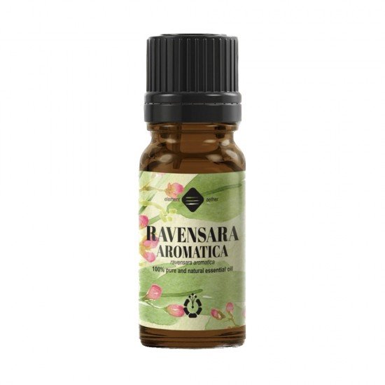 Mayam Ravensara aromatica illóolaj tiszta 10ml