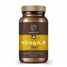 Myrobalan khoga.9gyomorégés, reflux elleni gyógynövény-komplex vegán kapszula 60db
