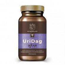 Myrobalan uridag hólyaghurut és húgyúti fertőzések elleni gyógynövény-komplex vegán kapszula 60db