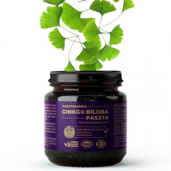 Pasztamánia ginkgo paszta 240ml Pasztamánia ginkgo paszta 240ml
